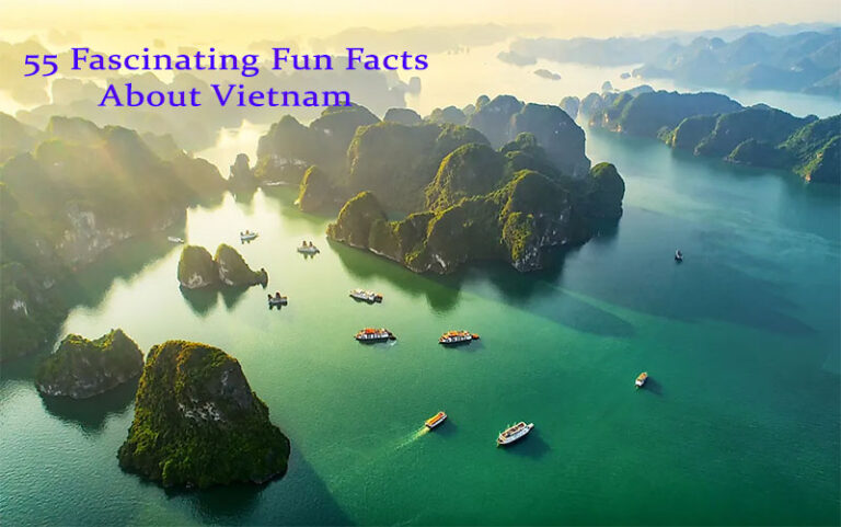 55 Fascinating Fun Facts About Vietnam You May Not Know