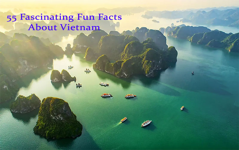 55 Fascinating Fun Facts About Vietnam