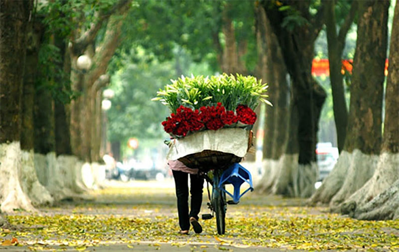 Hanoi has 12 flower seasons