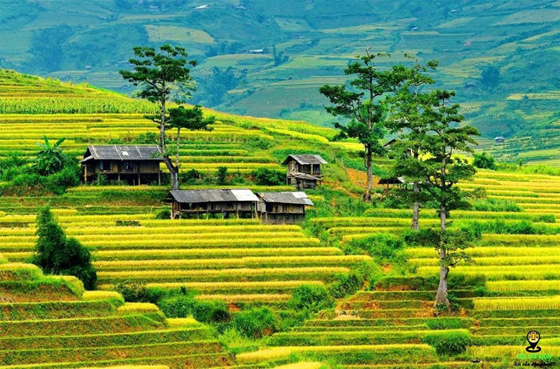 beauty of northwest Vietnam